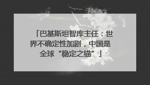 巴基斯坦智库主任：世界不确定性加剧，中国是全球“稳定之锚”