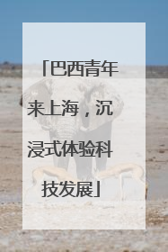 巴西青年来上海，沉浸式体验科技发展