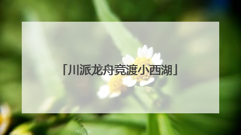 川派龙舟竞渡小西湖