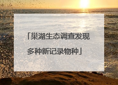 巢湖生态调查发现多种新记录物种