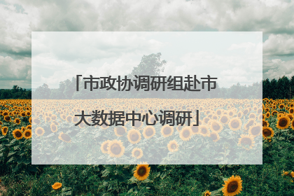 市政协调研组赴市大数据中心调研