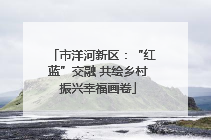 市洋河新区：“红蓝”交融 共绘乡村振兴幸福画卷