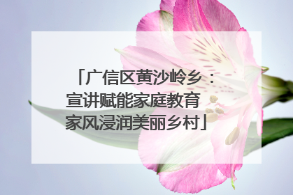 广信区黄沙岭乡：宣讲赋能家庭教育 家风浸润美丽乡村