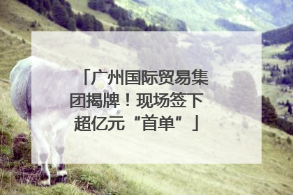 广州国际贸易集团揭牌！现场签下超亿元“首单”