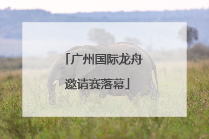 广州国际龙舟邀请赛落幕