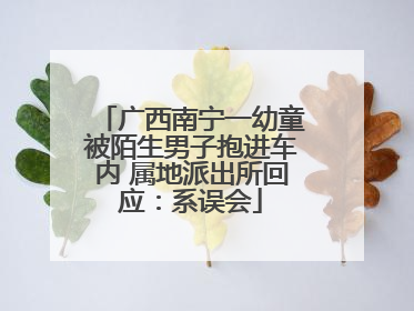 广西南宁一幼童被陌生男子抱进车内 属地派出所回应：系误会