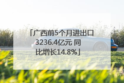 广西前5个月进出口3236.4亿元 同比增长14.8%