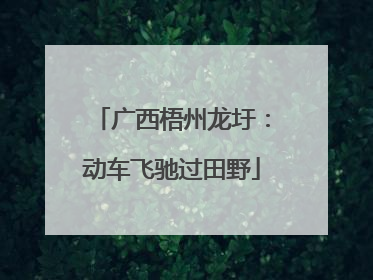 广西梧州龙圩：动车飞驰过田野