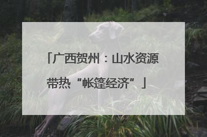 广西贺州：山水资源带热“帐篷经济”