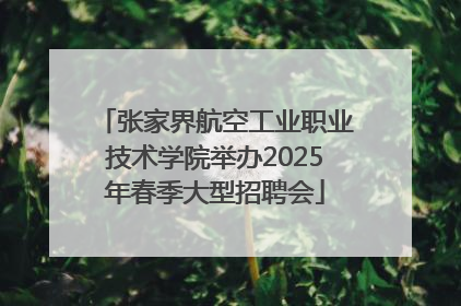 张家界航空工业职业技术学院举办2025年春季大型招聘会