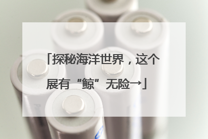 探秘海洋世界，这个展有“鲸”无险→