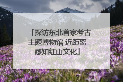 探访东北首家考古主题博物馆 近距离感知红山文化