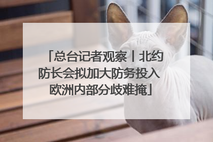 总台记者观察丨北约防长会拟加大防务投入 欧洲内部分歧难掩