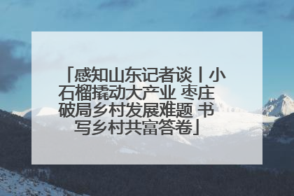 感知山东记者谈丨小石榴撬动大产业 枣庄破局乡村发展难题 书写乡村共富答卷
