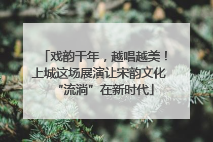 戏韵千年，越唱越美！上城这场展演让宋韵文化“流淌”在新时代