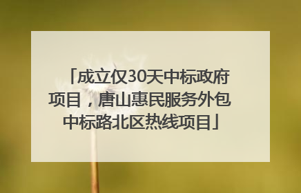 成立仅30天中标政府项目，唐山惠民服务外包中标路北区热线项目