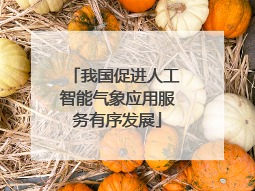 我国促进人工智能气象应用服务有序发展
