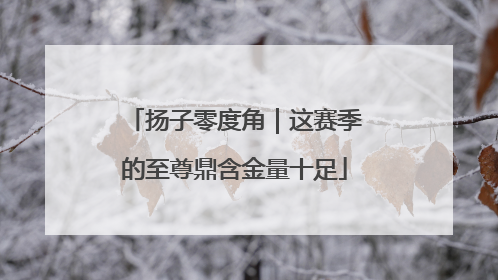 扬子零度角｜这赛季的至尊鼎含金量十足
