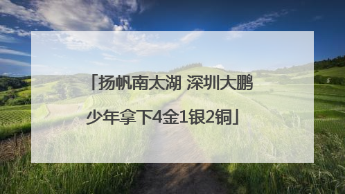 扬帆南太湖 深圳大鹏少年拿下4金1银2铜