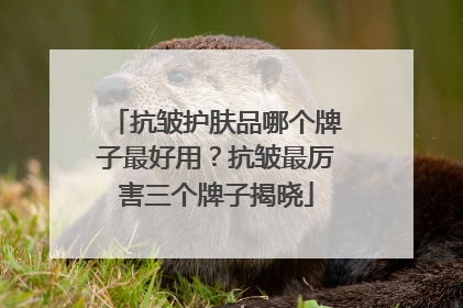 抗皱护肤品哪个牌子最好用？抗皱最厉害三个牌子揭晓