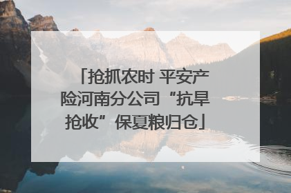 抢抓农时 平安产险河南分公司“抗旱抢收”保夏粮归仓