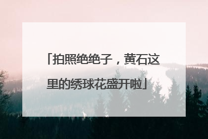 拍照绝绝子，黄石这里的绣球花盛开啦