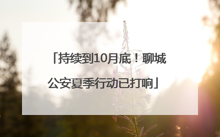 持续到10月底！聊城公安夏季行动已打响