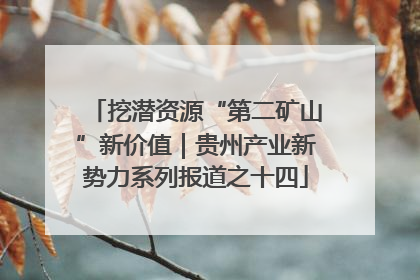 挖潜资源“第二矿山”新价值｜贵州产业新势力系列报道之十四