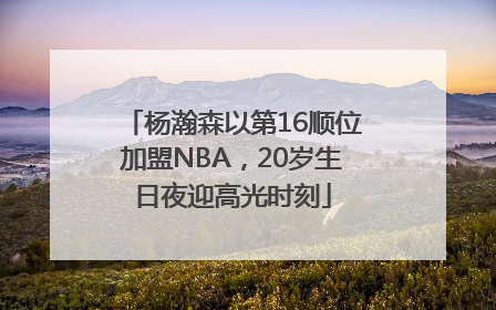 杨瀚森以第16顺位加盟NBA，20岁生日夜迎高光时刻