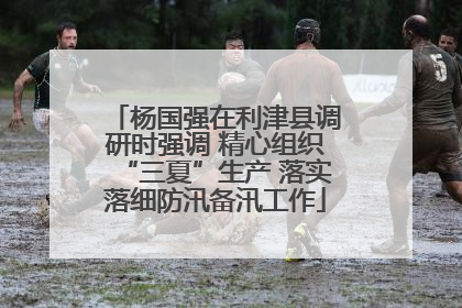 杨国强在利津县调研时强调 精心组织“三夏”生产 落实落细防汛备汛工作