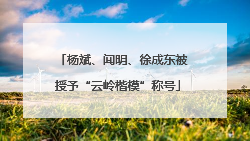 杨斌、闻明、徐成东被授予“云岭楷模”称号
