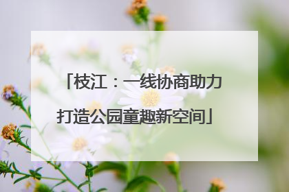 枝江：一线协商助力打造公园童趣新空间