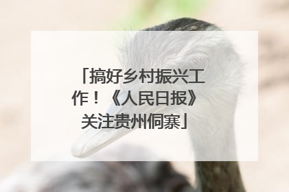 搞好乡村振兴工作！《人民日报》关注贵州侗寨