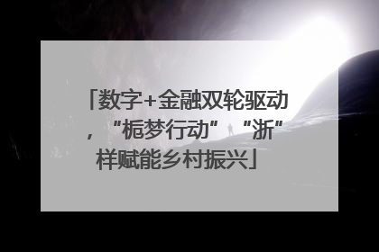 数字+金融双轮驱动，“栀梦行动”“浙”样赋能乡村振兴