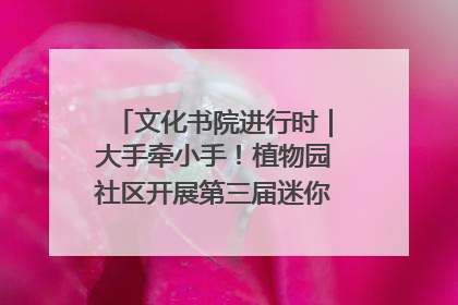 文化书院进行时｜大手牵小手！植物园社区开展第三届迷你马拉松活动
