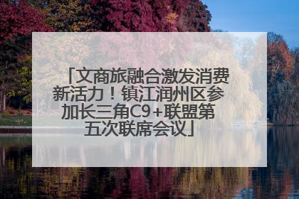 文商旅融合激发消费新活力！镇江润州区参加长三角C9+联盟第五次联席会议