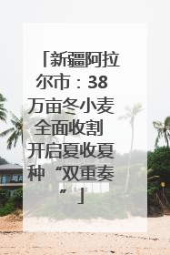 新疆阿拉尔市：38万亩冬小麦全面收割 开启夏收夏种“双重奏”