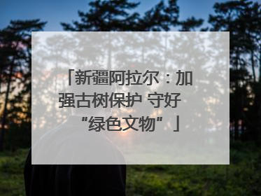 新疆阿拉尔：加强古树保护 守好“绿色文物”