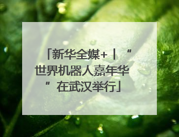 新华全媒+丨“世界机器人嘉年华”在武汉举行