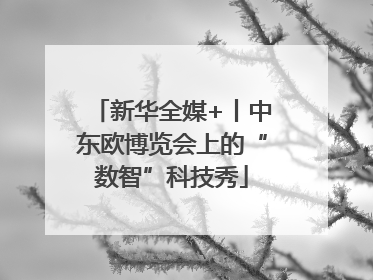 新华全媒+丨中东欧博览会上的“数智”科技秀
