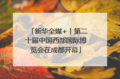 新华全媒+丨第二十届中国西部国际博览会在成都开幕