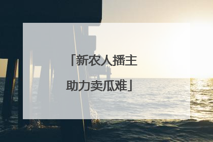 新农人播主 助力卖瓜难