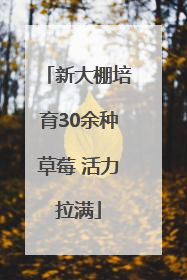 新大棚培育30余种草莓 活力拉满