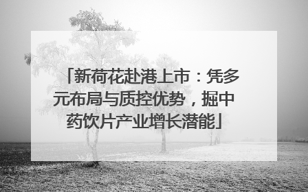 新荷花赴港上市：凭多元布局与质控优势，掘中药饮片产业增长潜能