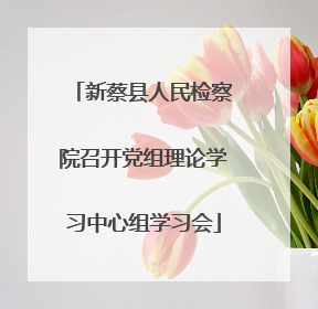 新蔡县人民检察院召开党组理论学习中心组学习会