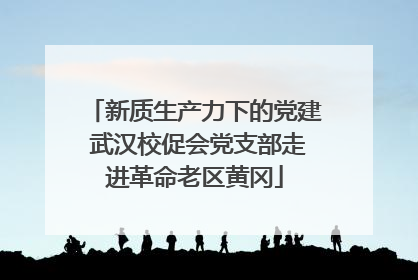 新质生产力下的党建 武汉校促会党支部走进革命老区黄冈