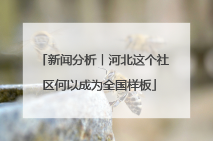 新闻分析丨河北这个社区何以成为全国样板