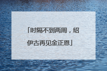 时隔不到两周，绍伊古再见金正恩