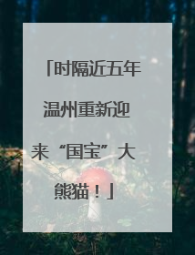 时隔近五年 温州重新迎来“国宝”大熊猫！