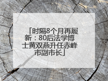 时隔8个月再履新：80后法学博士黄双燕升任赤峰市副市长